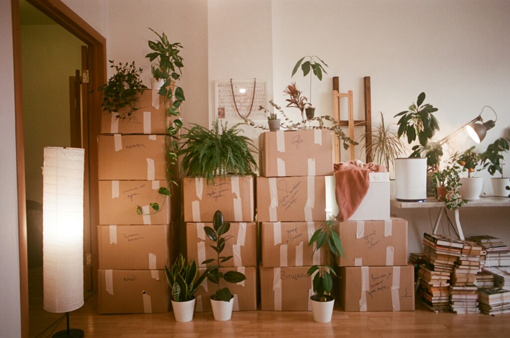 Living room with cardboard boxes stacked high, a pile of books and potted plants. 